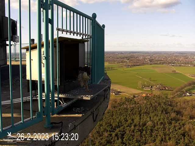 Campics © VWGGemert/BDL en Hans Natuurkanaal. - Pagina 3 7