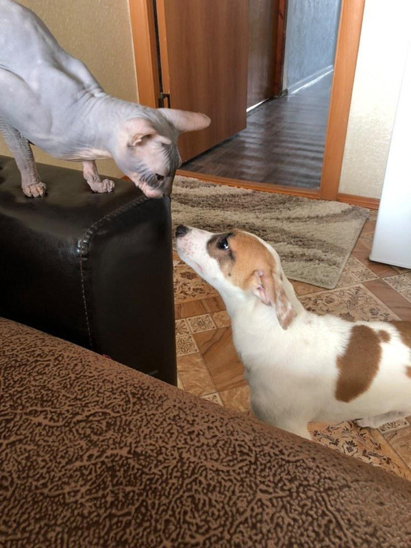 4CF44B1B-71DD-432D-99E5-D3FBD7A7E8BF