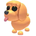 Toy Poodle