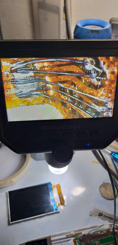 48408897_261465501187206_9103420553829548032_n