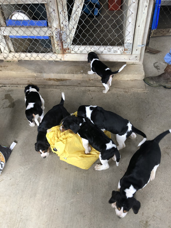 17EF5E2F-AAA3-4D1B-913A-9366071D7848