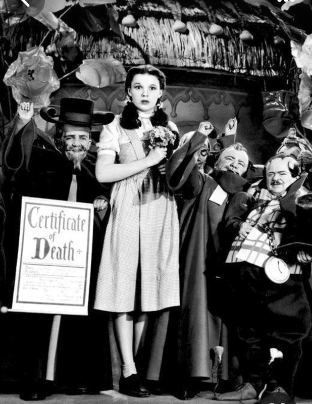 Screenshot_20240215_232227_Pinterest