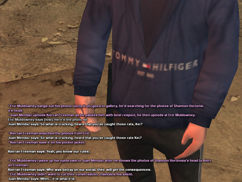 ss1b.jpg