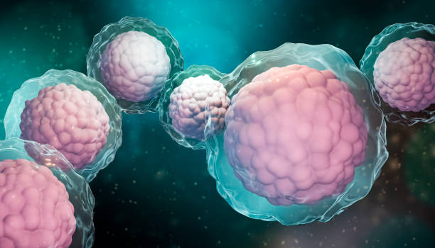 Stem Cell Therapy in Mexico