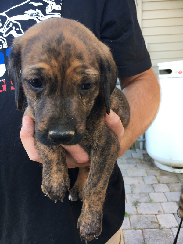 29B595BE-073C-41BA-A793-BCE5DE393A46