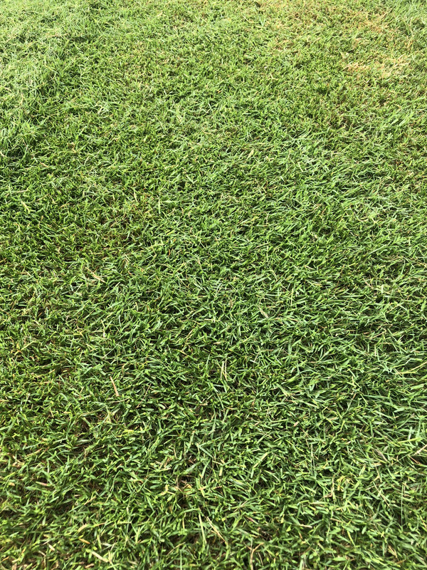 0742E67C-F216-4C57-91E2-95796504F4D1