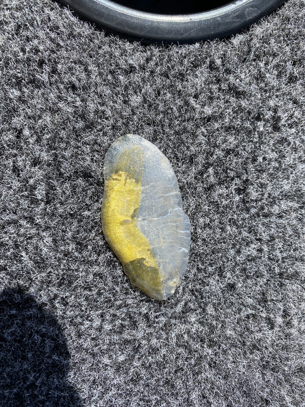 CE610849-EE3E-4407-89C0-CA36BC9CA8BF