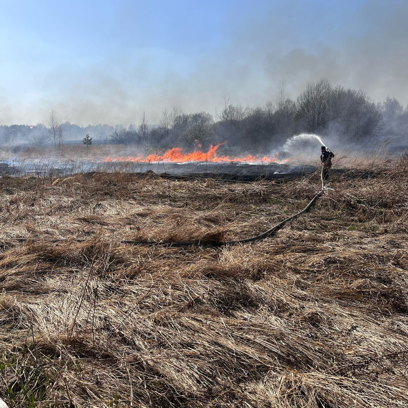 трава горит