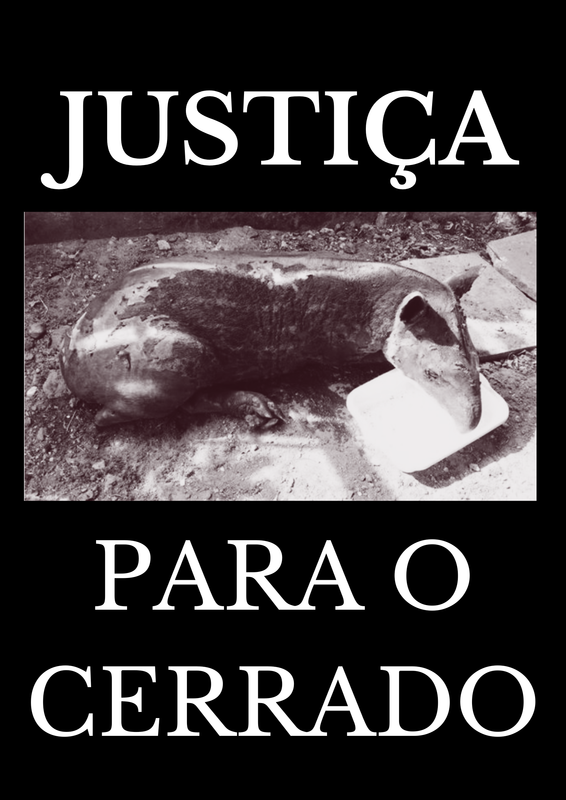 CERRADO_JUSTIÇA