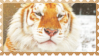 made by @transmascgarfield on tumblr