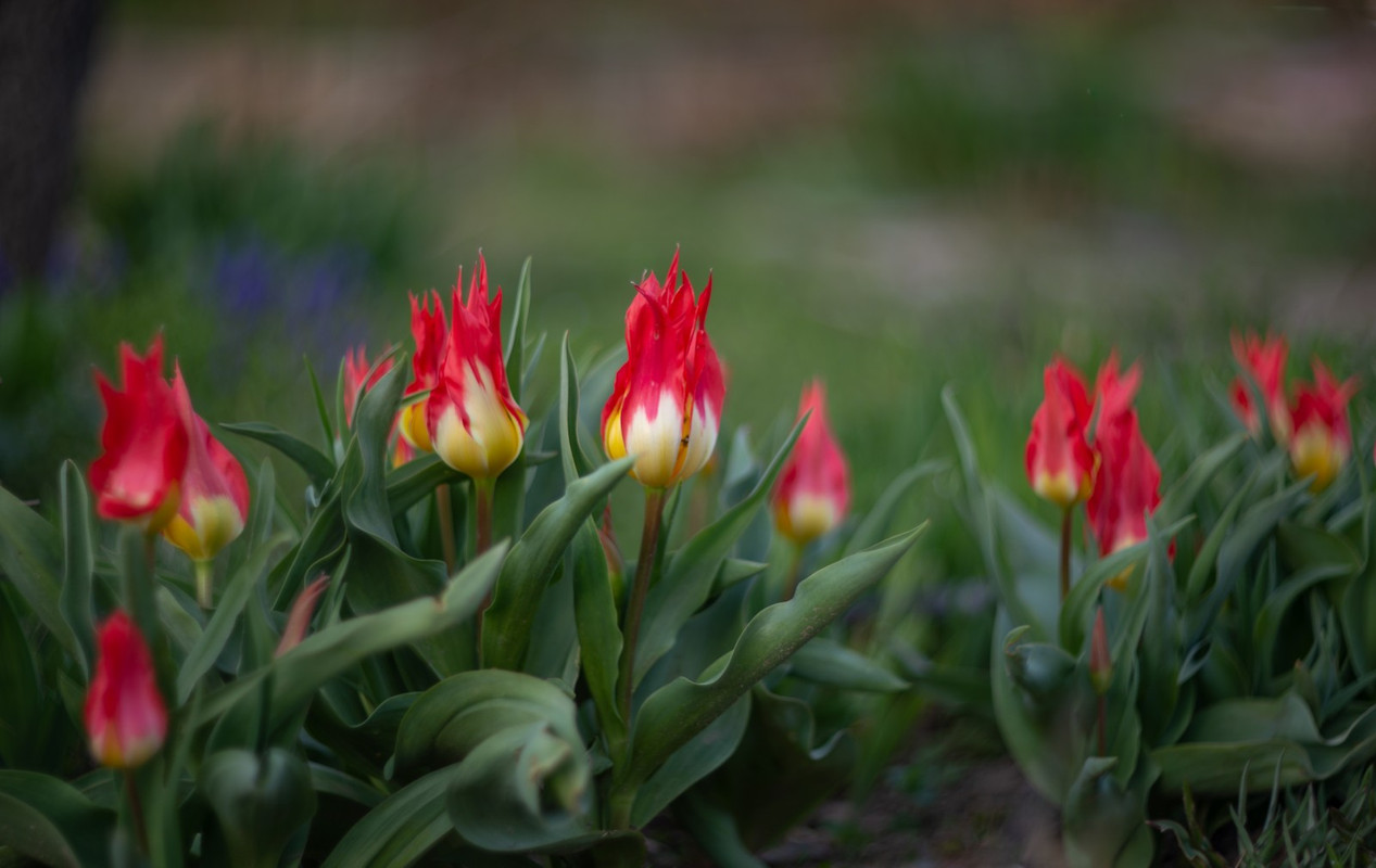IMG-c1f7b15b18ff17e98919df6095e82c12-V