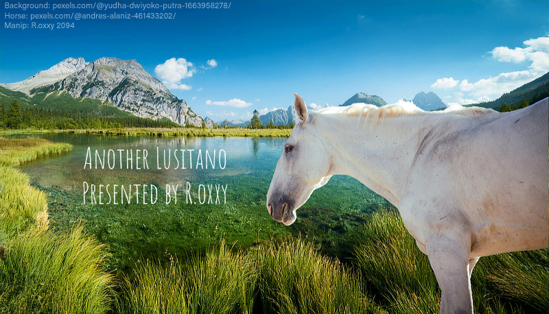 6D8065F4 C4DA 4533 AAED D6C5880963FD