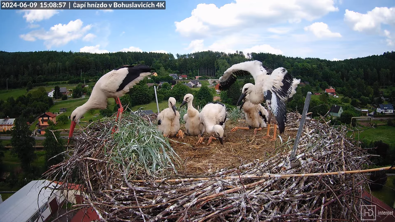 Tiešraidē no uzņēmuma KARA stārķa skursteņa Bohuslavicē pie Trutnovas 15-47-52 screenshot