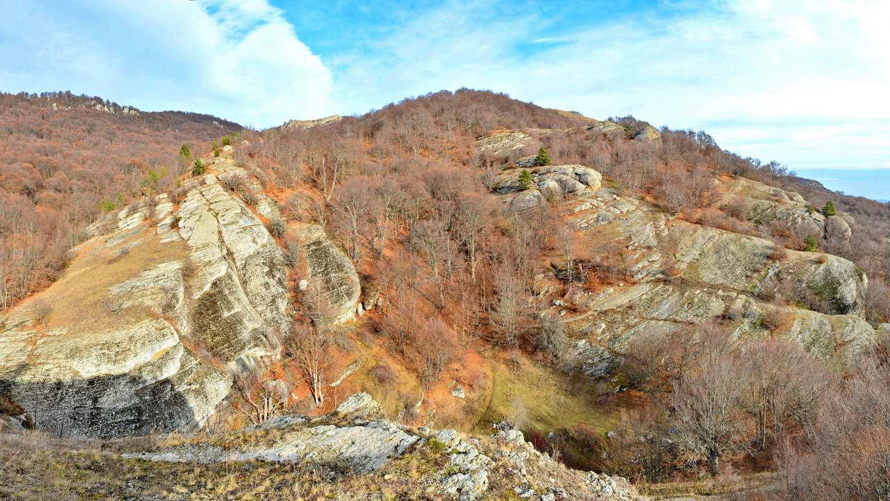 [Group 41]+DSC_9529_DSC_9544-16 images