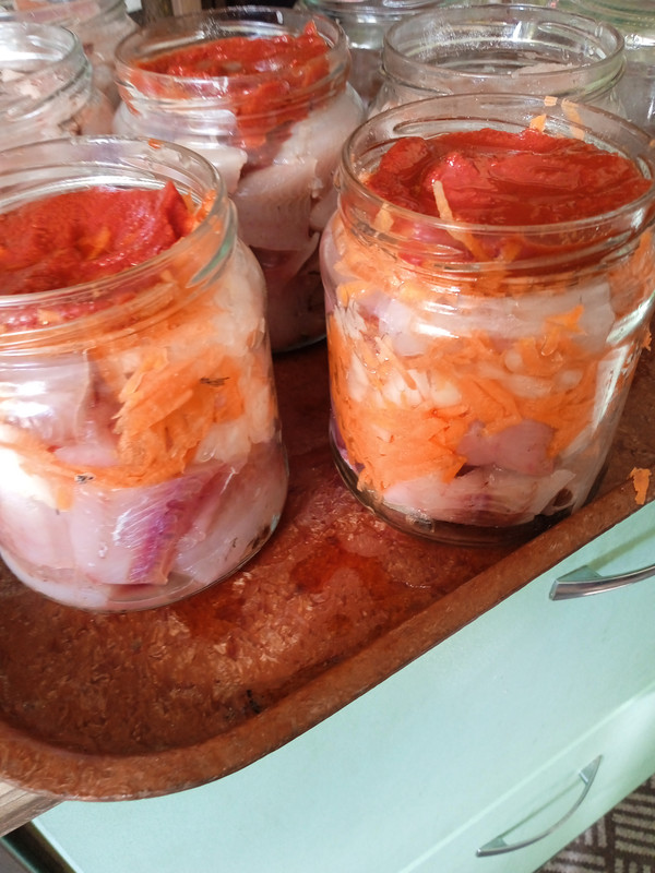 IMG_20240302_131727_1