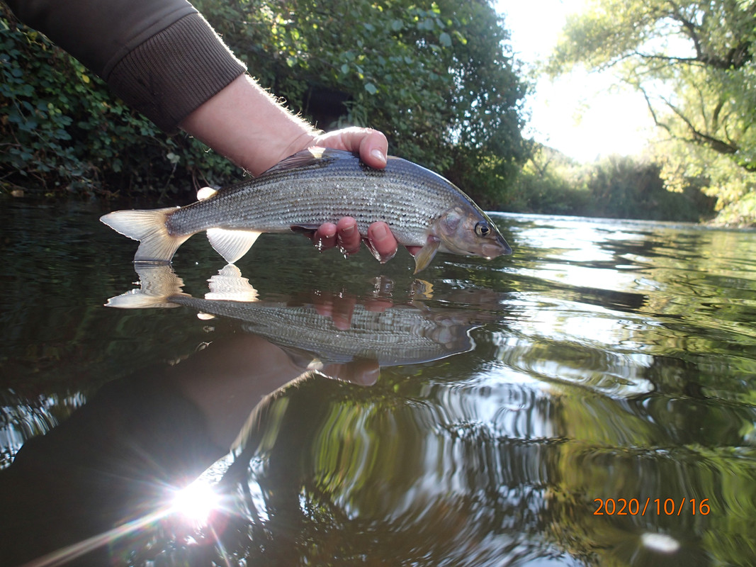 AFE8A6D1-B67F-4C1E-98EA-6694FD7C2A34