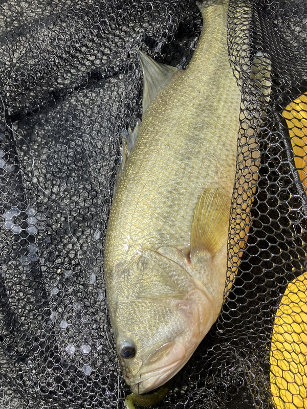 A9F59613-72DB-4D35-9CE2-8E5C1493D59E