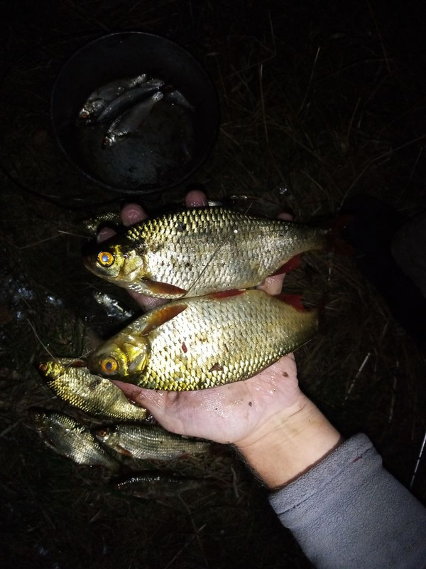 07_32 Рыба в руке_1_result