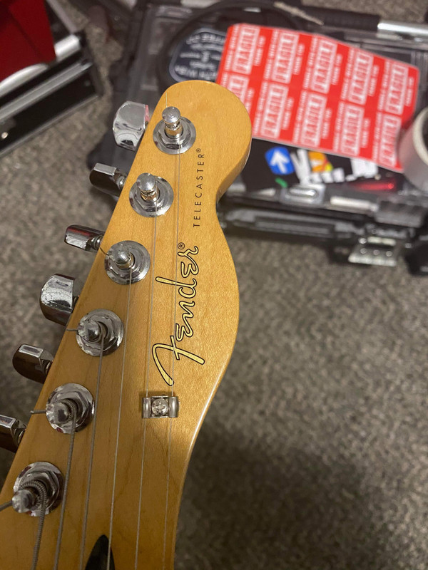 NGD: Warmoth/Fender '72 Thinline Tele partscaster