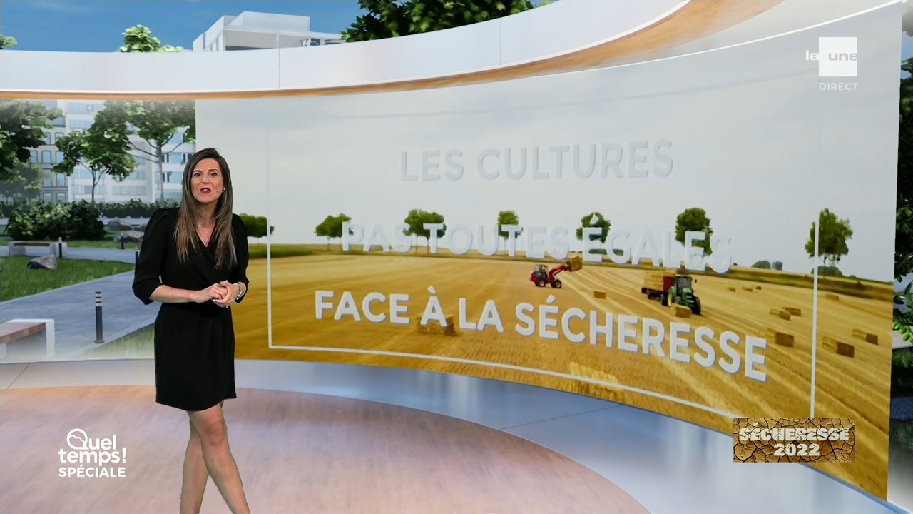 Météo 2022_08_25_11_40_00.ts_snapshot_07.54.951
