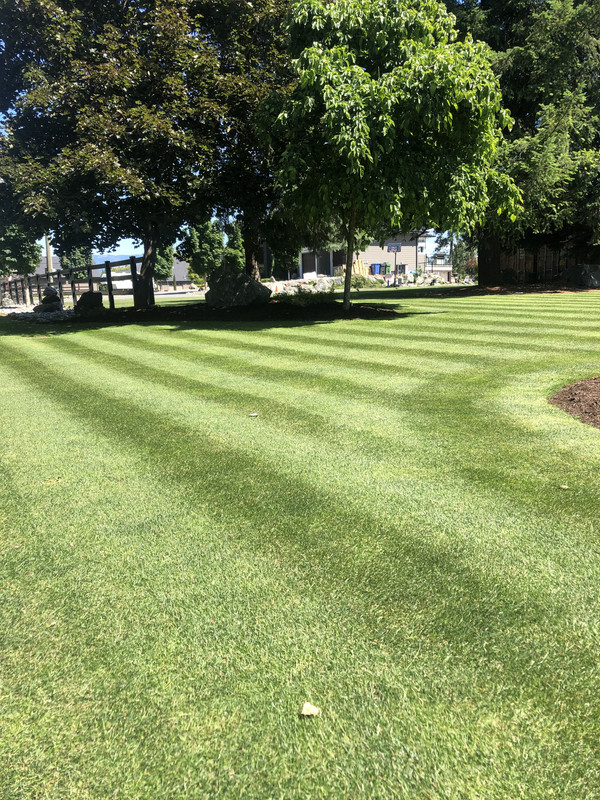 0ADB5DB5-84D3-4466-AC64-6428662EB2E7