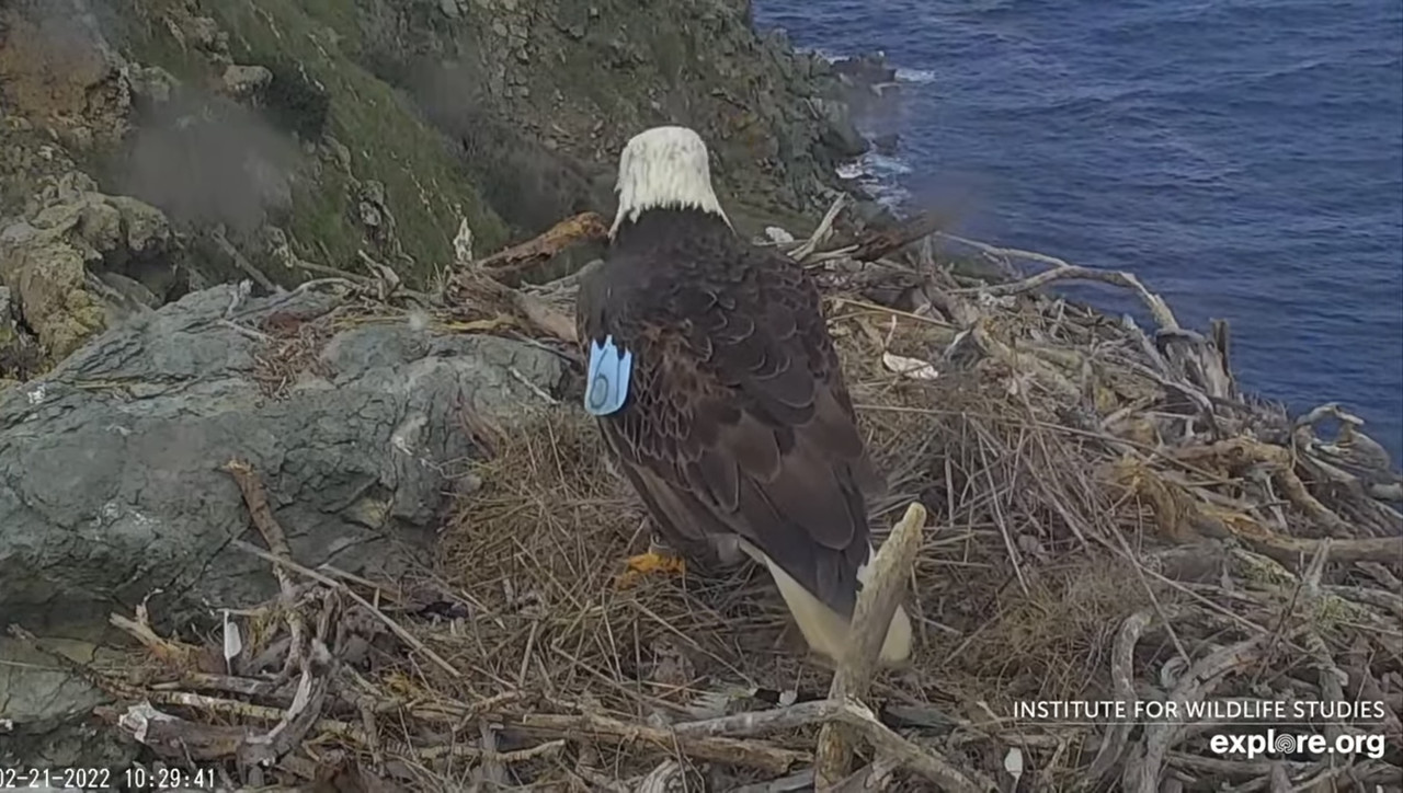 6D65FFA7-9B20-4F45-8117-FFD715A19F24