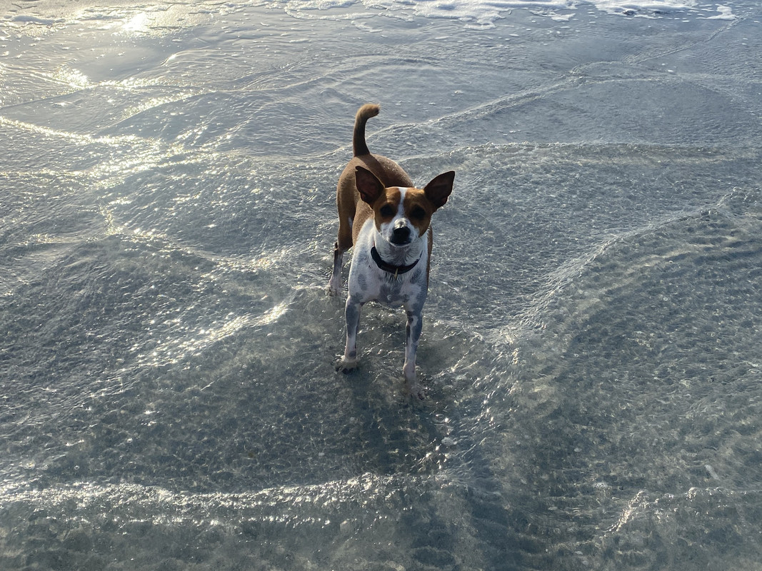 9A8559BC-4A65-4710-B473-8CDDA0D2D9B8