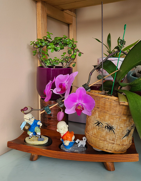 [Image: 20240704-100754.jpg]