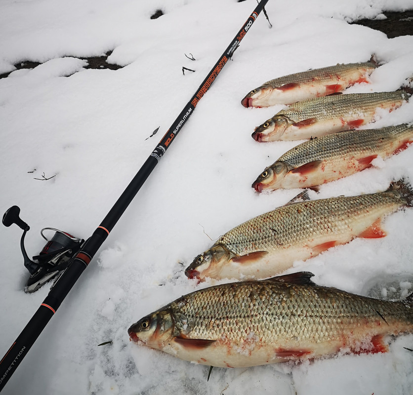 IMG_20210112_104718(1)