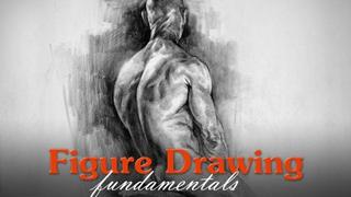 Proko - Figure drawing fundamentals