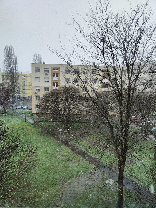 Kép