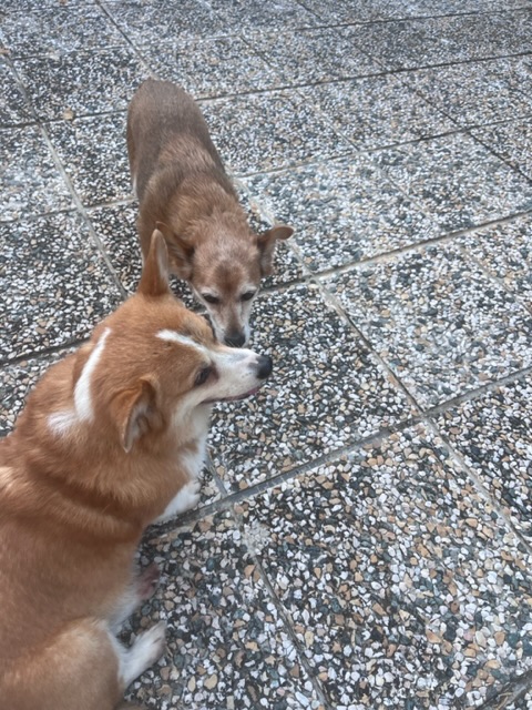 [Image: IMG-5324.jpg]