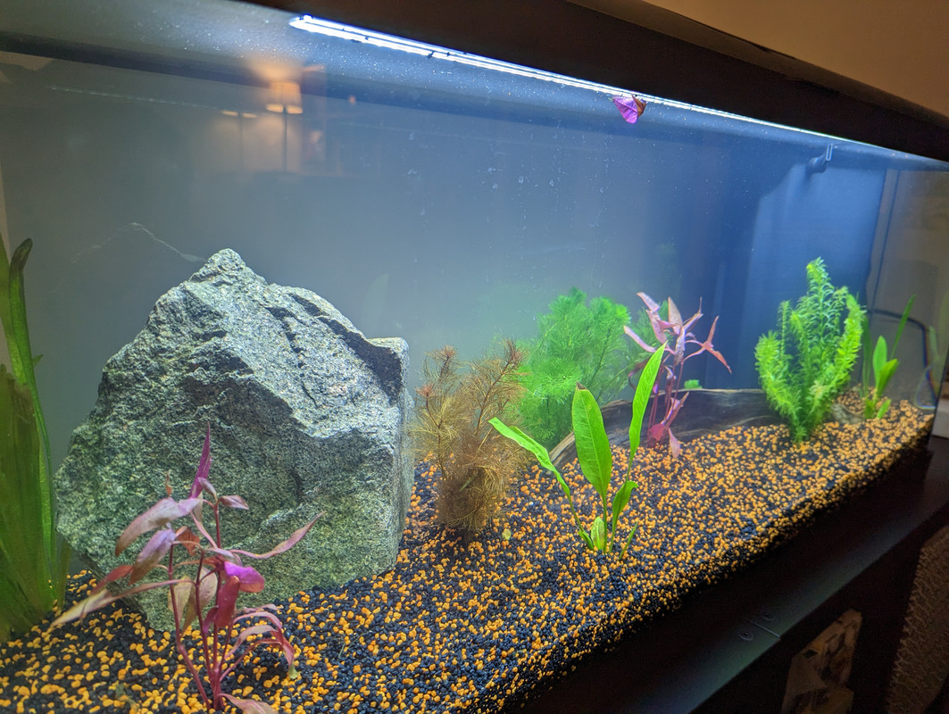 PXL_20230218_192054425