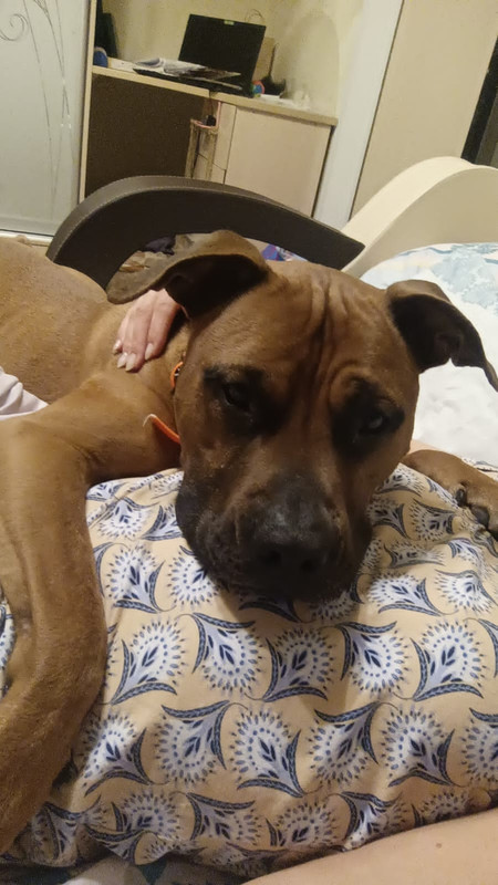 4FCCFE6A-A67F-4302-A9A6-7A15C48E6B6B