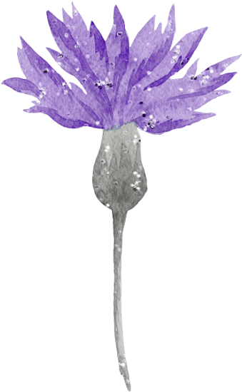 Magic Fairy Garden (107)