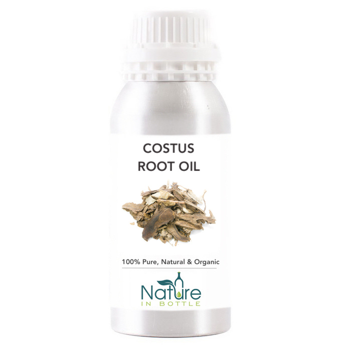 Costus Root Essential Oil Organic - Saussurea Lappa India
