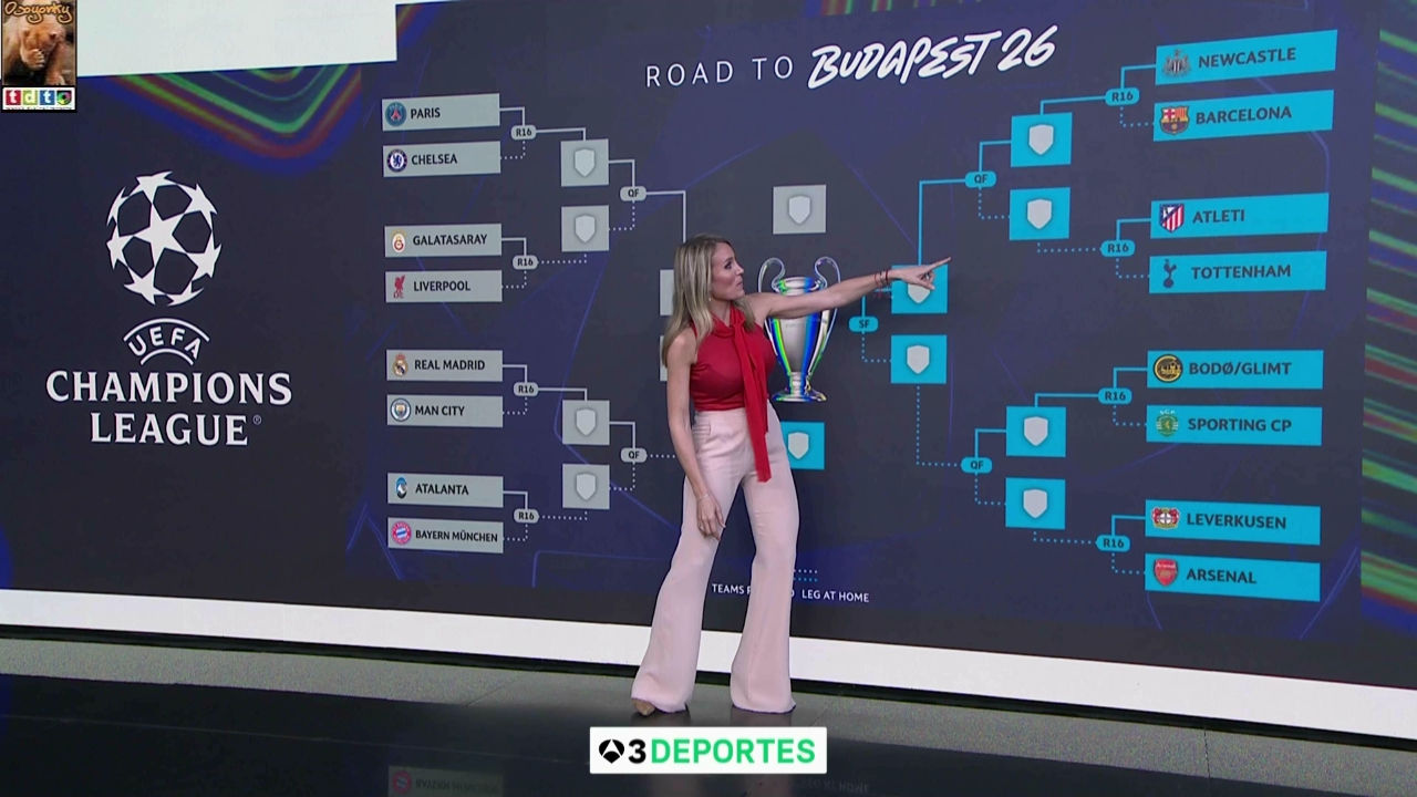 angierojotetones A3 oso56 (8)