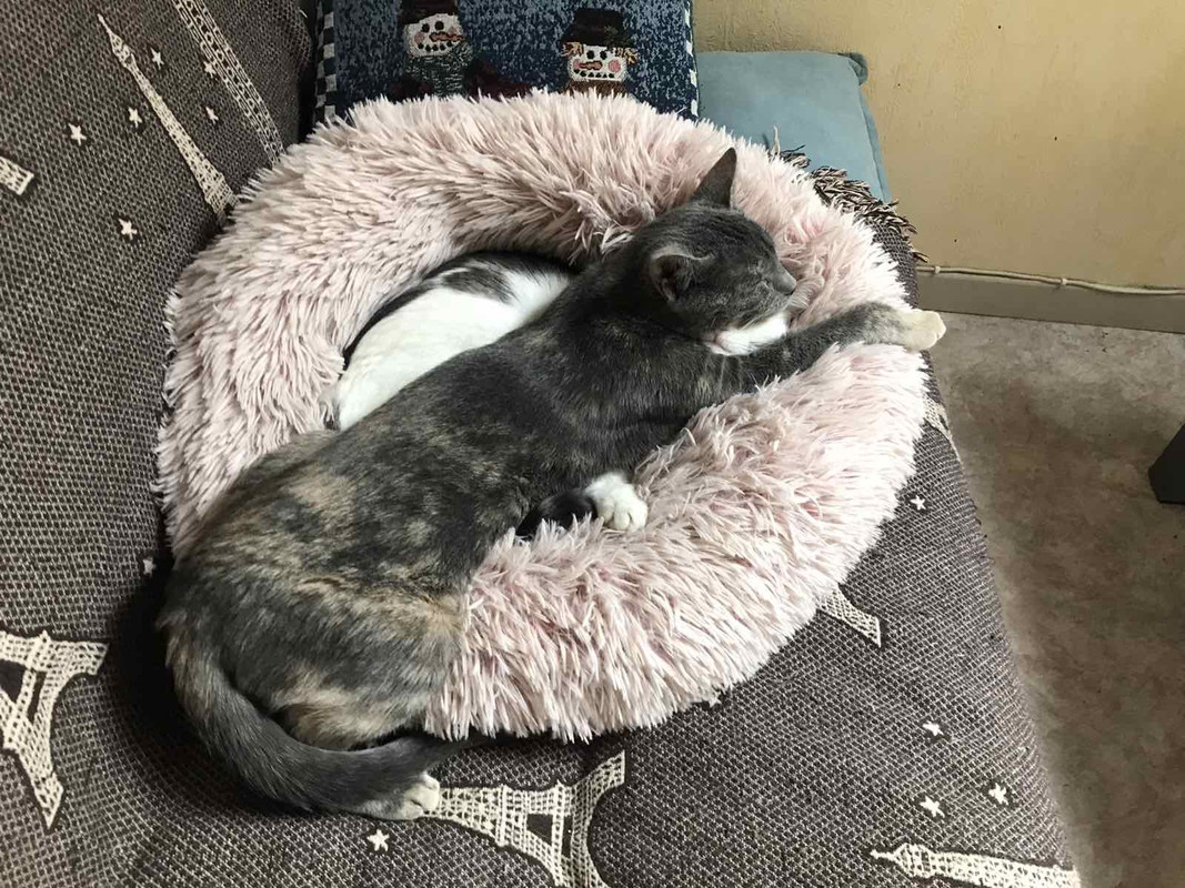 D75DB6C2-5628-4322-B898-468FD57521CF