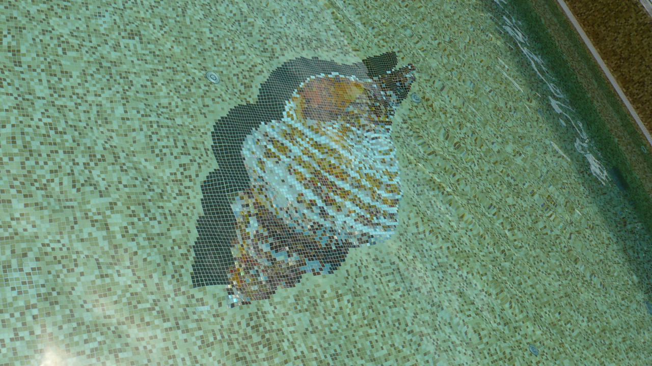 [Obrazek: 385841cfcb6c50f7.jpg]