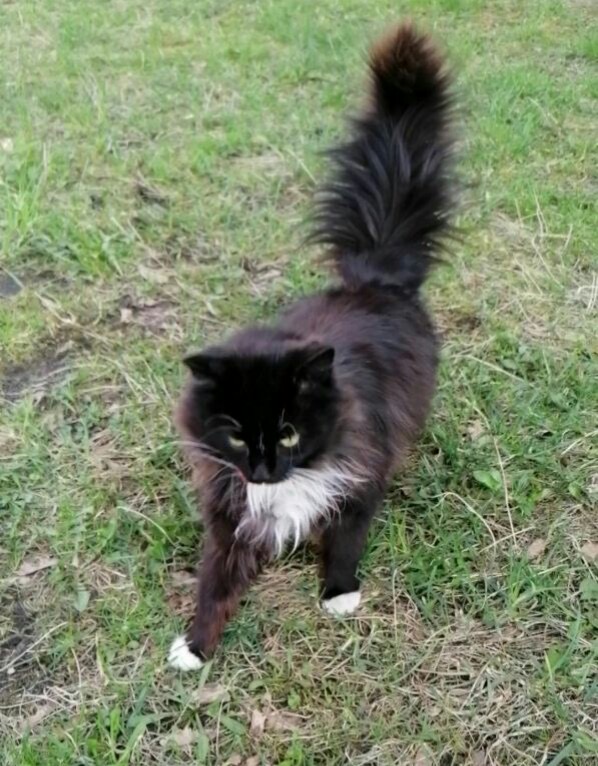 7FDD8E3E-1030-4907-A44B-B52969B655E0