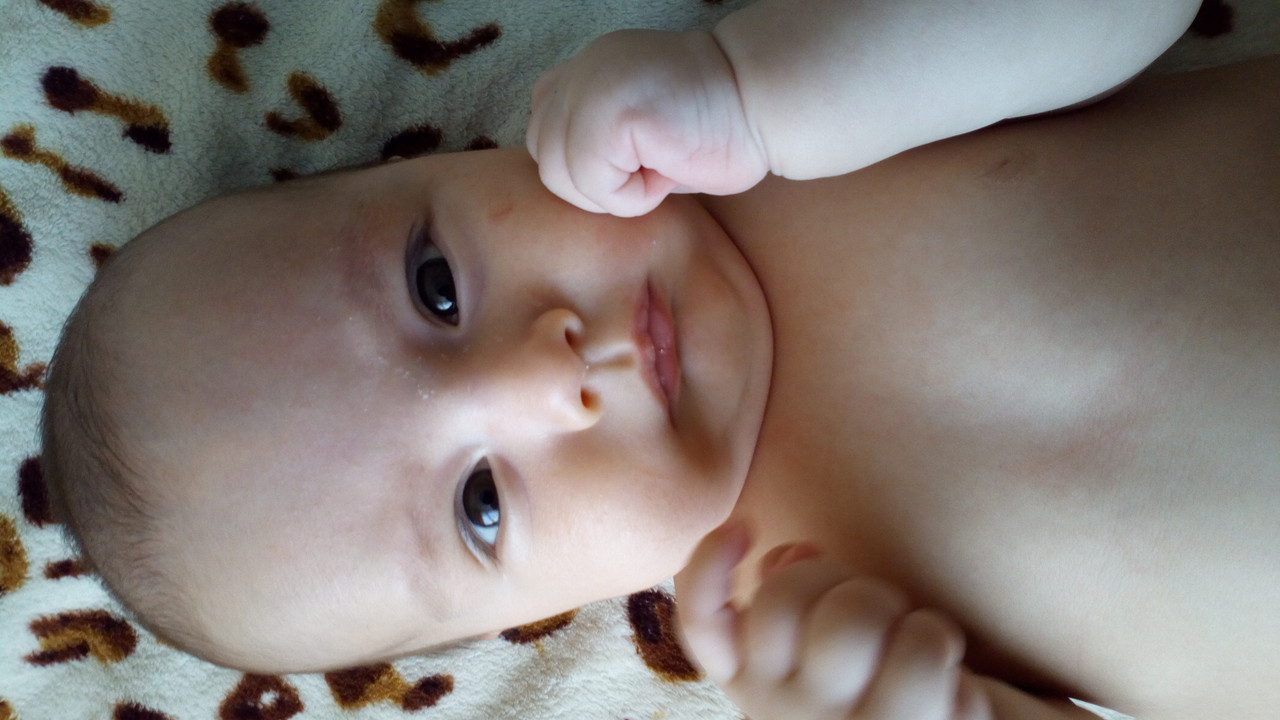 IMG-f6576a9530cfe6dfb4707f70a13ddf40-V