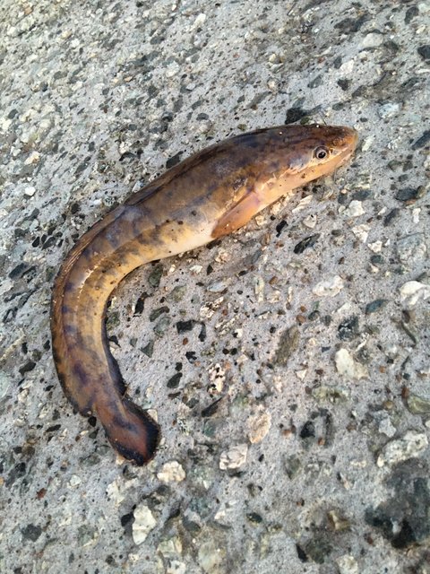 AC1C6FB3-659A-4F18-805D-F05030860BAE