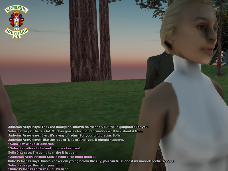 SSRoleplay716.png