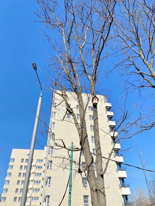 черное озеро.jpg1.jpg2.jpg3.jpg4.jpg5