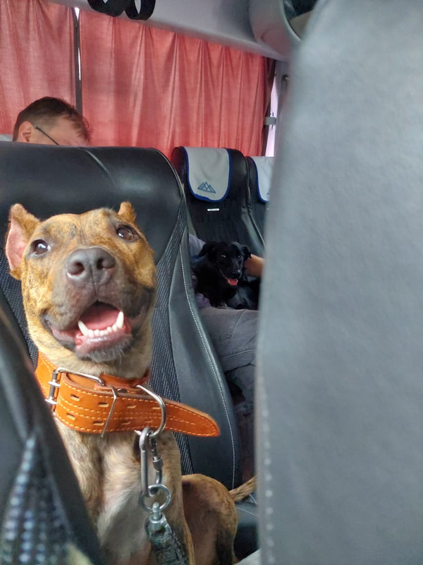 799FE71E-7825-47E9-85FF-957B3238D393