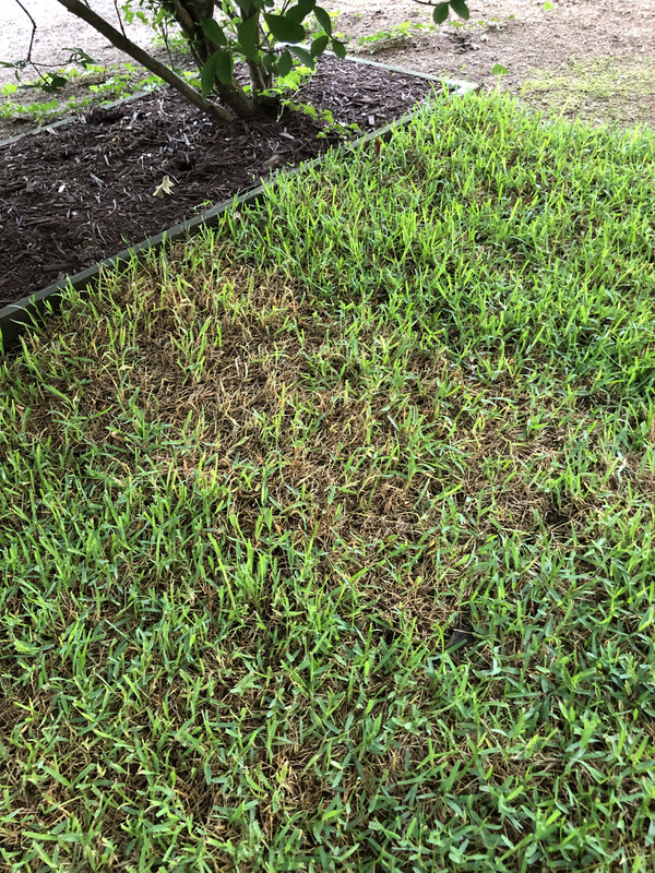 9631B901-DB1C-4721-A29A-1F2CD922FB7B