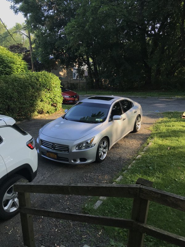 954D583A-2973-4878-8243-8D31ECE5D524