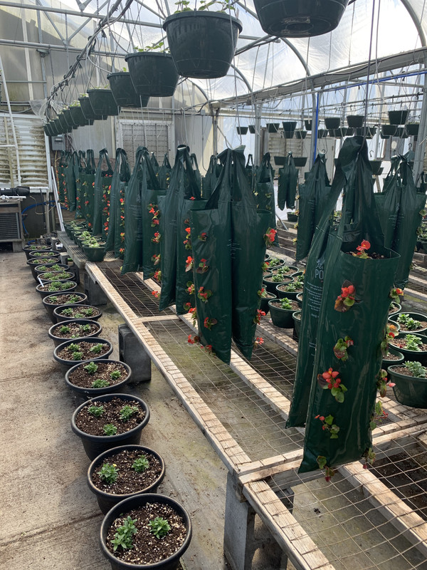 FBD82260-AC21-4863-B9EB-A8EC76F8E08D