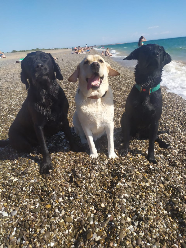 WhatsApp Image 2020-07-23 at 19.48.17(1)