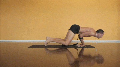 Peacock Pose / Mayurasana (Intermediate level-IGIYS)